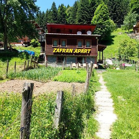 Villa Zafran Айдер Яйласи Екстериор снимка