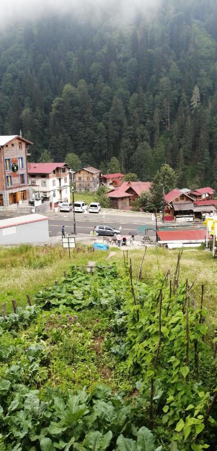 Villa Zafran Айдер Яйласи Екстериор снимка