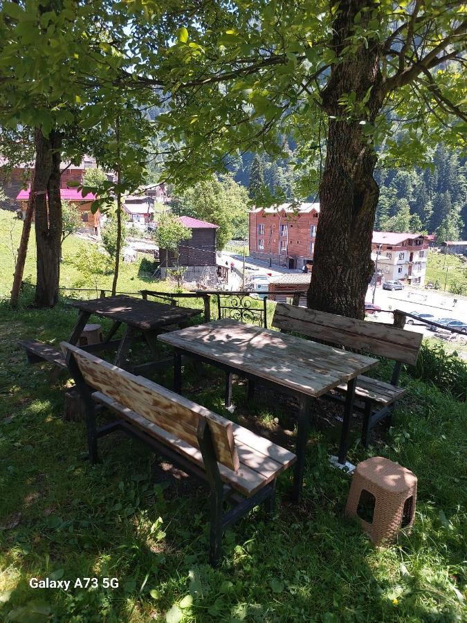 Villa Zafran Айдер Яйласи Екстериор снимка